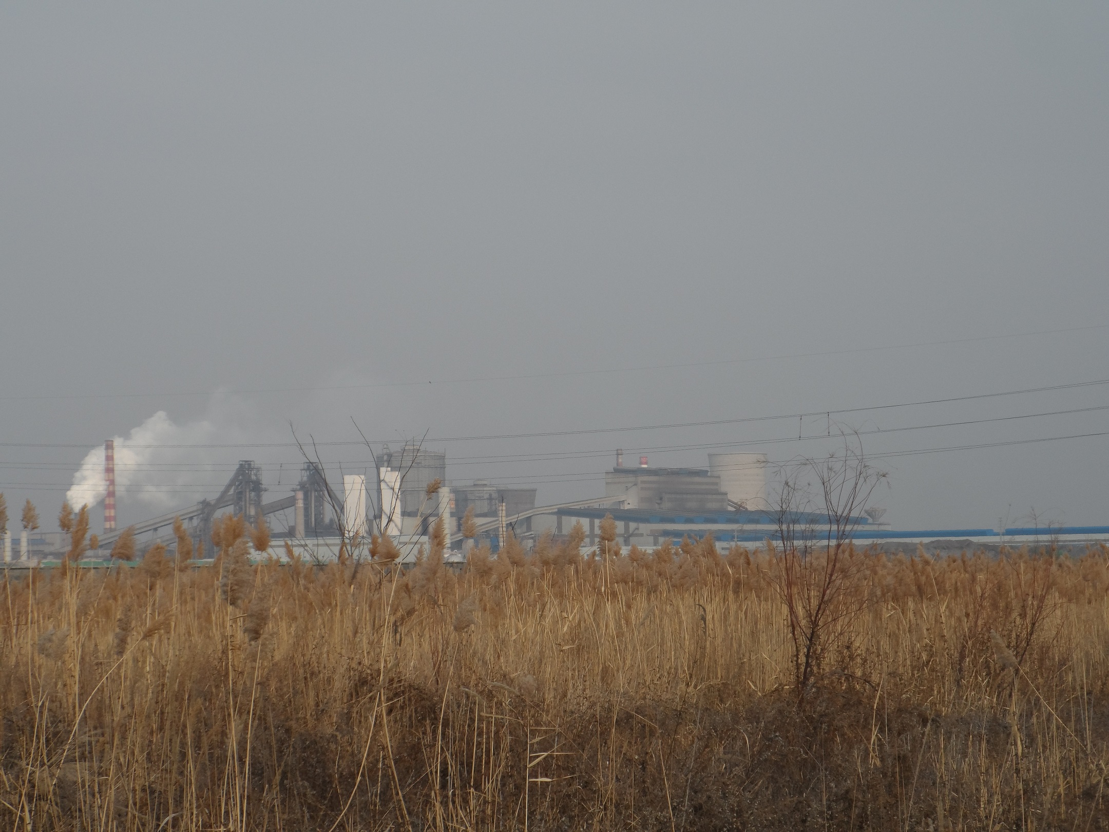 說明: E:\2013年未完成項目\百度云同步盤\2016年\（書）剛和石油（營口）有限公司8萬噸潤滑油脂加工項目2016.11.16\現(xiàn)場照片\SAM_7598.JPG